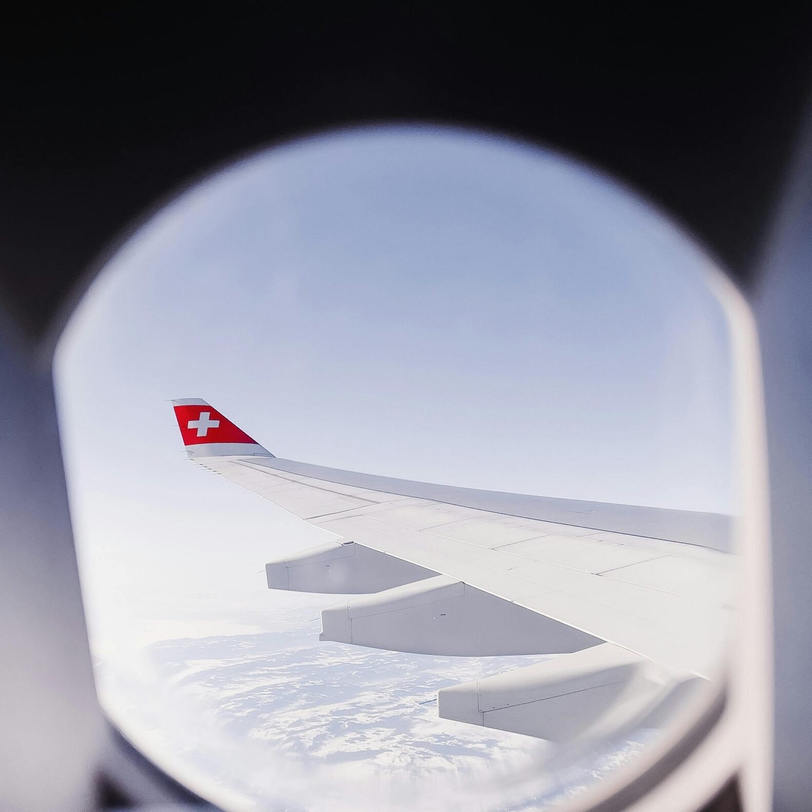 pexels speedbird one 31347750